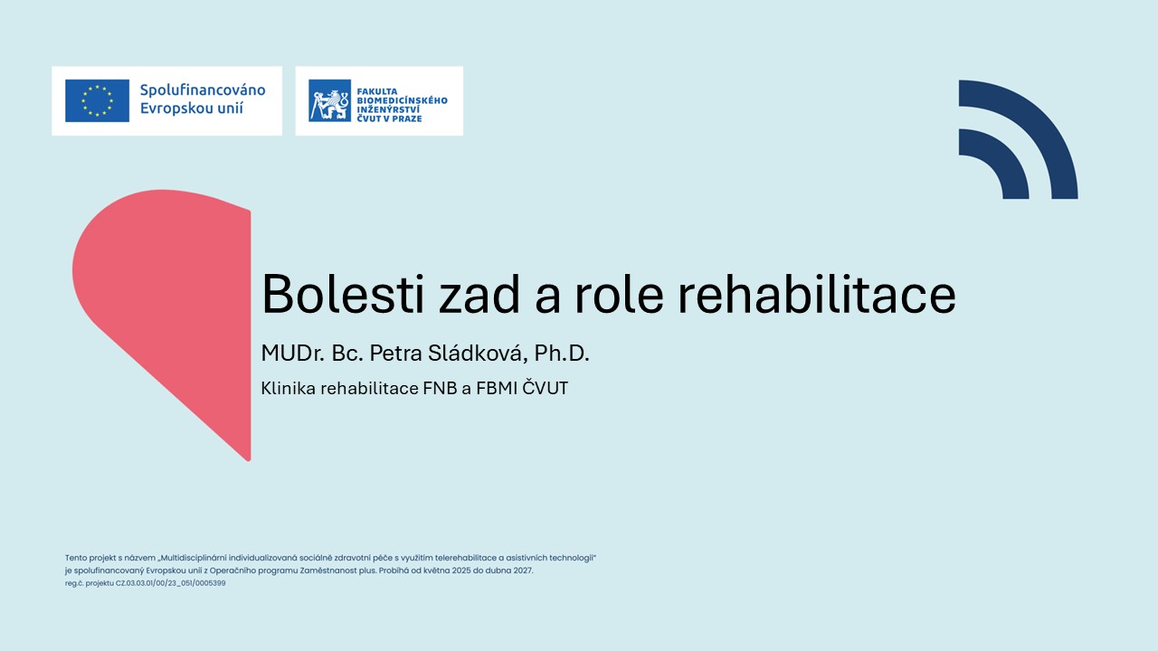 Bolesti zad a role rehabilitace